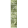 Hair in balance by OnlyBio Toner Pistacjowy 100 ml