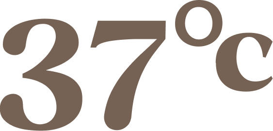 37°C